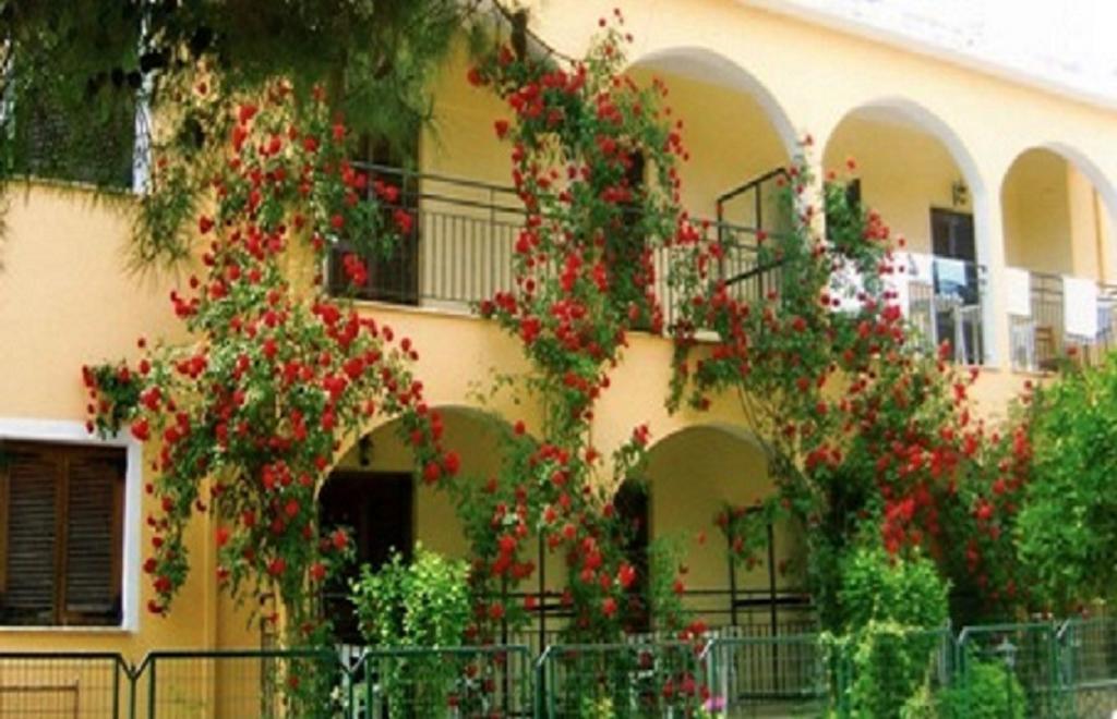 Pearl * Roda (Corfu)